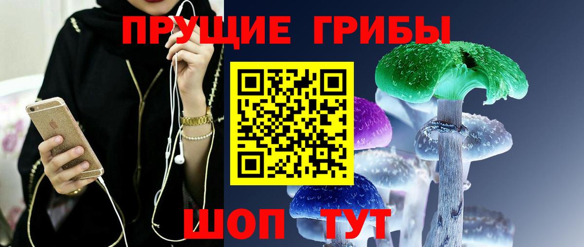 Темрюк  Галлюциногенные грибы GOLDEN TEACHER  Вход с VPN  Псилоцибиновые грибы GOLDEN TEACHER 